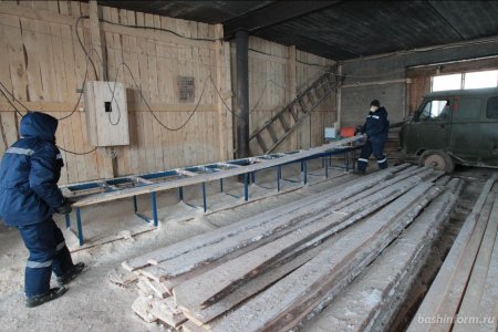 В Караидельском районе Башкирии откроют цех по производству пиломатериалов на экспорт