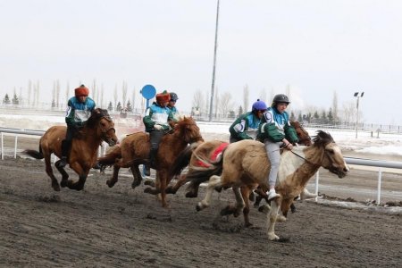 В Уфе прошел первый этап конно-спортивного турнира «Терра Башкирия»