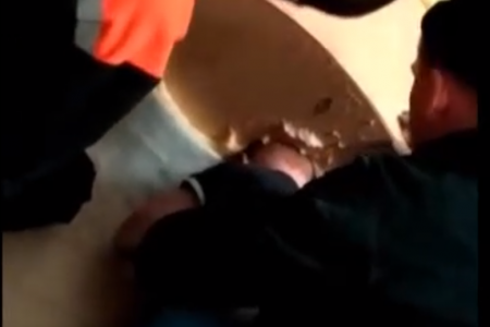 В Уфе трехлетний малыш застрял в кошачьем домике - видео