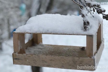 В Башкортостане март завершится мокрым снегом с дождем и сильным ветром