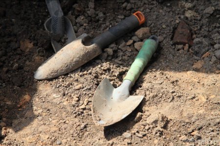 В Уфе в лесном массиве по улице Зорге обнаружили человеческие останки