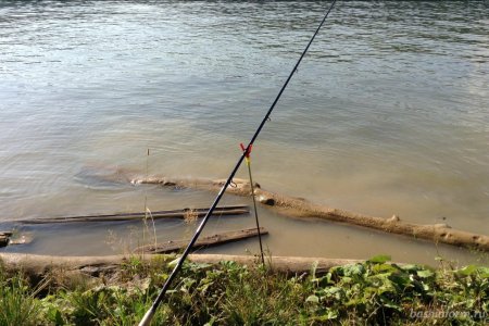 В Башкортостане принят закон о любительской рыбалке