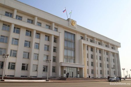 В Башкортостане сельских депутатов могут освободить от подачи деклараций о доходах