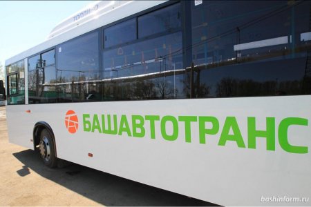 Колесо, Акбузат, стрелка, тамга — жители Башкортостана выбирают логотип транспорта