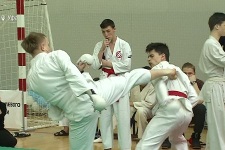 В Уфе пройдут II открытые Евразийские игры боевых искусств