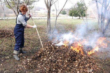 В Башкортостане введут штрафы за сжигание мусора и листьев в общественных местах