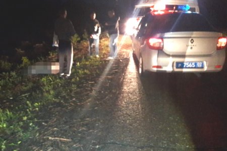 В Башкортостане пьяный водитель за рулем «ГАЗели» задавил пешехода