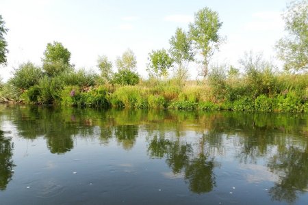 В Башкортостане из реки достали тело утонувшего мужчины