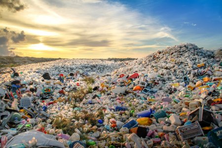Минприроды и Роспотребнадзор предлагают изгнать пластик из употребления