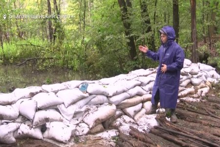 В Башкортостане на месте выброса химикатов в реку установили «умную дамбу»