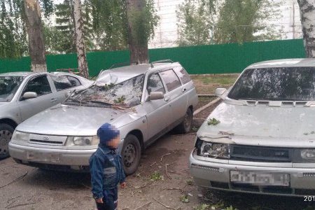 Момент падения высокого дерева на машины в Башкортостане попал на видео