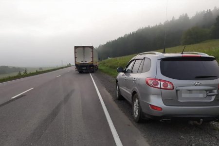 В Башкортостане женщина-пешеход попала под колеса иномарки и грузовика