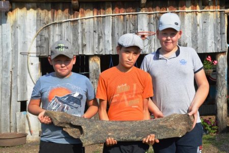 В Башкортостане на территории геопарка школьники нашли кость мамонта