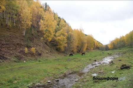 4 октября температура воздуха в Башкортостане прогреется до 20 градусов