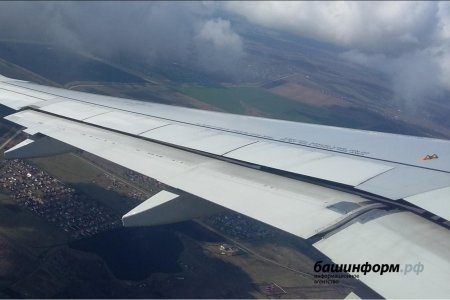 В Уфе экстренно приземлился самолет Москва-Челябинск из-за закурившего пассажира