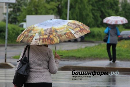 В Башкортостане в ближайшие три дня будет дождливо и ветрено