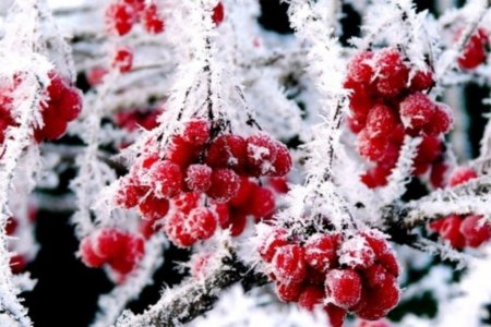В Башкортостане похолодает до 9 градусов мороза