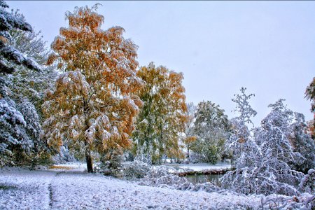 МЧС Башкортостана предупреждает о похолодании и установлении снежного покрова