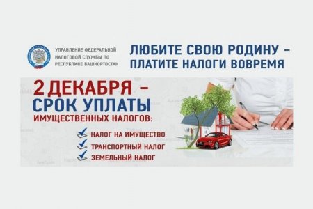 2 декабря истекает срок уплаты имущественных налогов – УФНС по Башкортостану