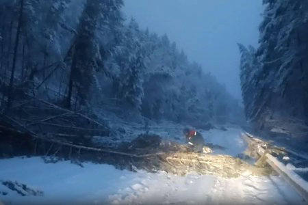 Трассу Белорецк - Авзян завалило снегом и упавшими деревьями