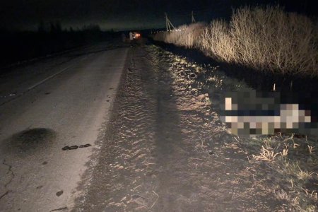 В Башкортостане водитель сбил на дороге двух девочек: одна школьница погибла