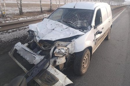 В Башкортостане при столкновении легковушки и грузовика пострадал 29-летний мужчина