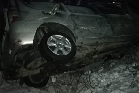 В Башкортостане на трассе автомобиль насмерть сбил лошадь: пострадали четыре человека