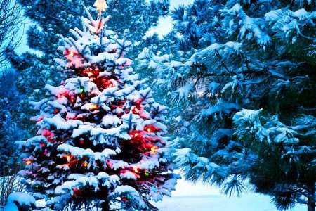 Какой будет погода в Башкортостане в новогодние праздники: предварительный прогноз