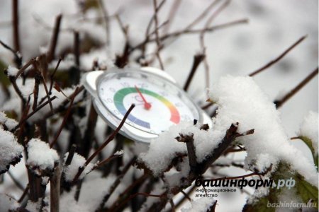 В Башкортостане на следующей неделе синоптики вновь прогнозируют аномально теплую погоду