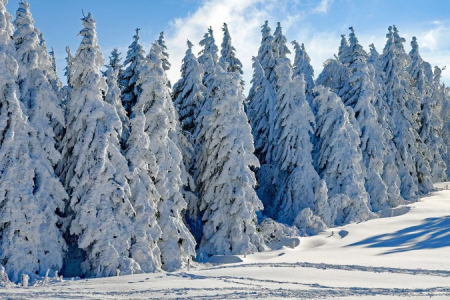 26 декабря в Башкортостане столбики термометров могут подняться до 0 градусов