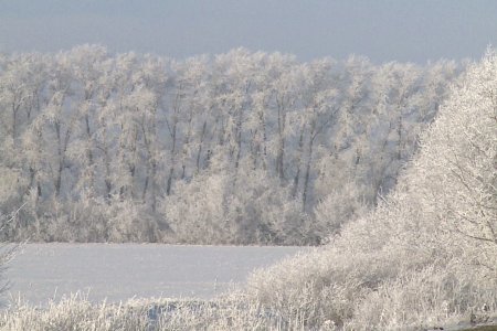 В Башкортостане ожидаются морозы до минус 27 градусов