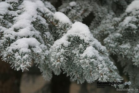 В Башкортостане в новогоднюю ночь ожидается снегопад