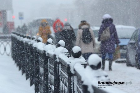 В начале новой недели жителей Башкортостана ждут метели, снежные заносы и гололед