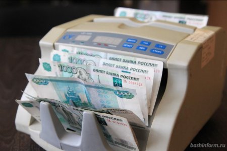 В Башкортостане начал действовать налог на профессиональный доход