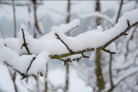 В Башкортостане в первую неделю февраля не ожидается «февральских морозов» - синоптики