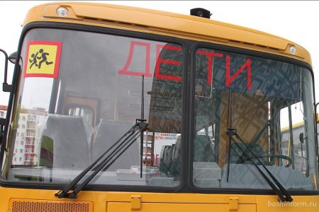 В Башкортостане автобус со школьниками столкнулся с табуном лошадей