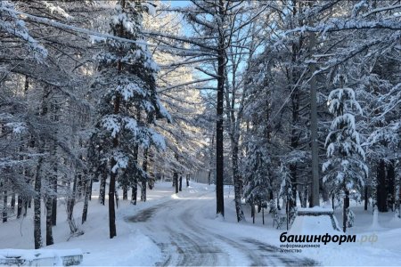 Какой будет погода в Башкортостане до конца февраля: предварительный прогноз