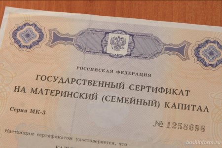 За ежемесячными выплатами из маткапитала обратились 2,4 тысячи семей Башкортостана