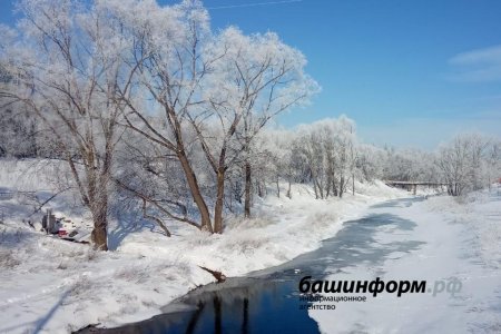 Какая погода будет в Башкортостане в начале недели