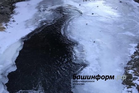 В Башкортостане из реки Белой извлекли тело мужчины