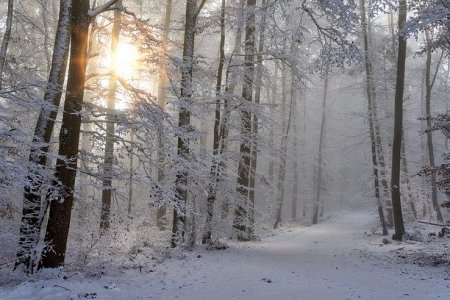 «Буря»: МЧС Башкортостана предупреждает о снегопаде и сильном ветре