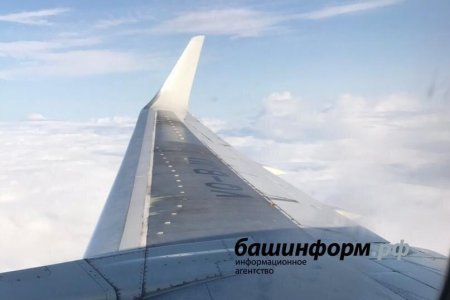 Самолет Москва-Уфа «заминировали» по электронной почте