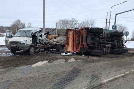 В Башкортостане в ДТП погибли перевозимые животные; один из водителей госпитализирован