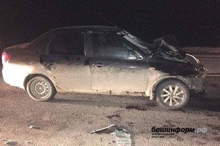 В Башкортостане молодожены погибли под колесами автомобиля