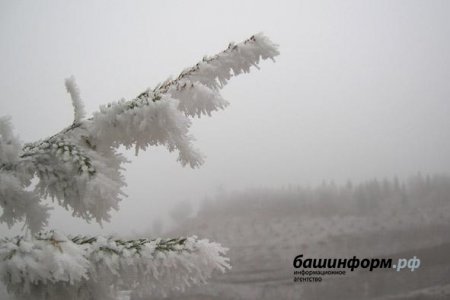 В Башкортостан придут ночные заморозки