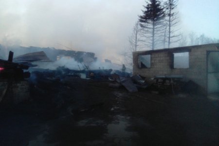В Башкортостане при пожаре на ферме погибли коровы, лошадь и более 200 бройлеров