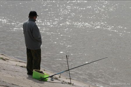 В Башкортостане будут штрафовать за выезд на рыбалку: Минэкологии