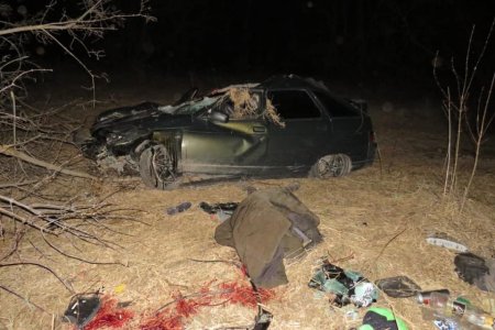 В Башкортостане водитель ВАЗ-2112 сбил лошадь, опрокинул автомобиль и погубил пассажира