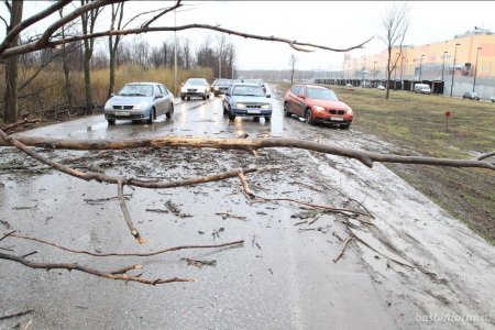 «Сильная буря»: в Башкортостане объявлено штормовое предупреждение